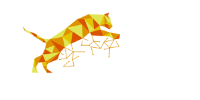 Tiger Pay
